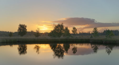 Sunrise at Meeuwenplas – Dwingelderveld – Drenthe (Netherlands)