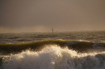 Naderende bui bij strand Westerschouwen