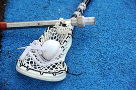 Bâtons et balles de crosse sur Richard Wareham