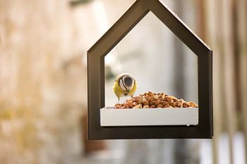 Vogelhuisje met pimpelmees