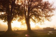 Mistig landschap van Frank Peters thumbnail