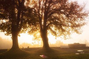 Neblige Landschaft von Frank Peters