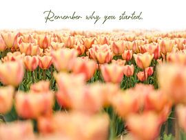 Remember why you started by Txell Alarcon