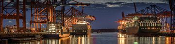 Industrial panorama in Hamburg at night by Jonas Weinitschke