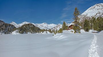 Het Orden dal bij het meer van Lägh da Cavloc, Maloja, Oberengadin, Zwitserland van Rene van der Meer