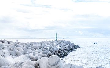 La plage de Funchal, les brise-lames