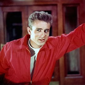 James Dean - Rebel Without A Cause (1955) von Bridgeman Images