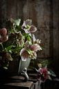 Helleborus in tinnen schaal van Saskia Schepers thumbnail