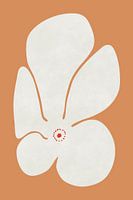 Fleur de coquelicots blancs