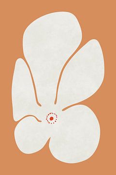 Witte klaprozen bloem van amini54
