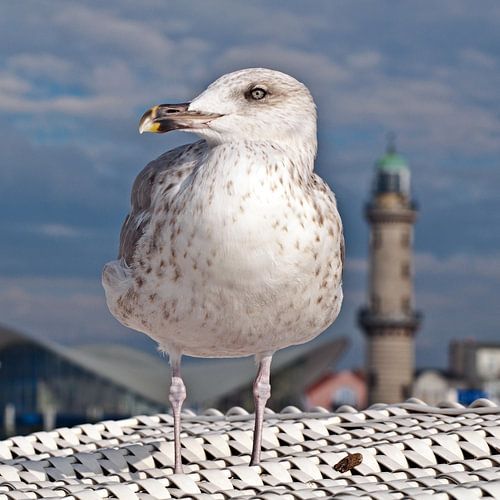 Strandwache am Seebad Warnemünde