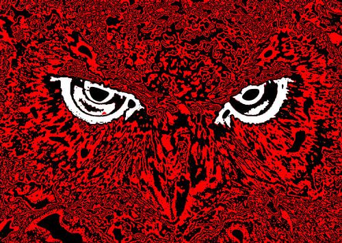 Owl's face #5