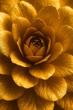 Gold Flower Luxury in Detail by But First Framing