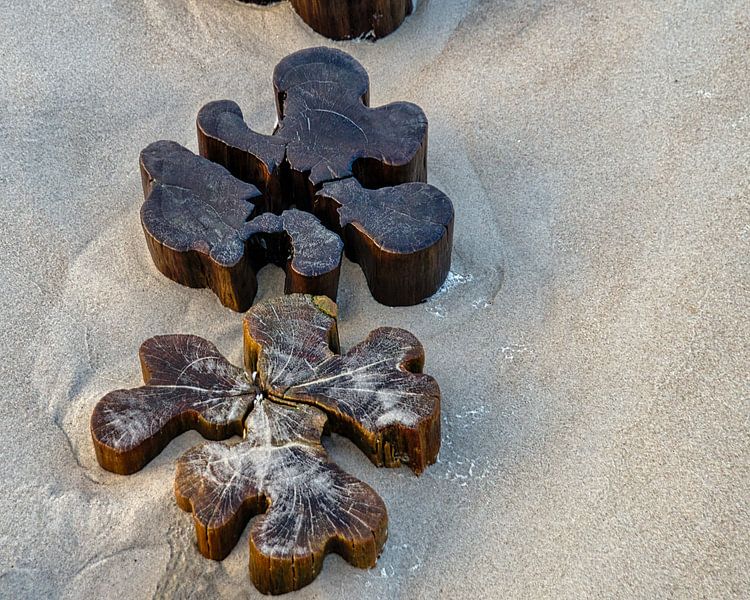 Buhne in Zingst on the Baltic Sea by Martin Köbsch