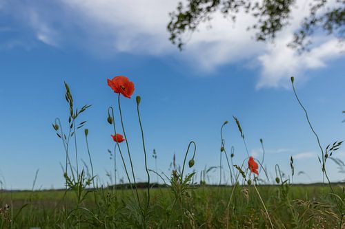 Groningen und Drenthe Veenkoloniën