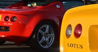 Een variatie op Lotus