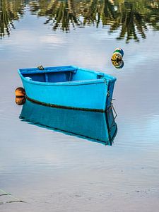 Klein blauw roeibootje spiegelend in stilstaand water