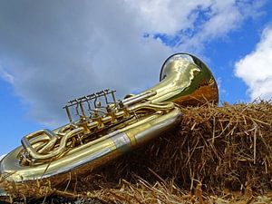 Tuba auf Strohballen 1.0