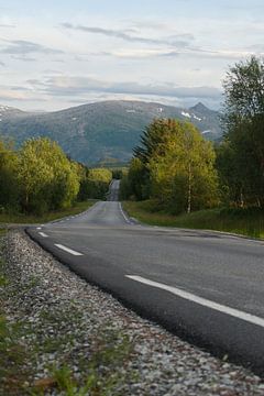 Verlaten weg naar de bergen in Noorwegen van Welmoed Bulthuis-Rondaan