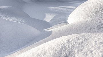 Sneeuw landschap Fins Lapland van Rick Van der Poorten