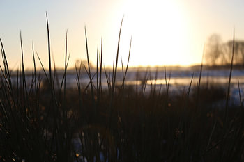 Winter landschap