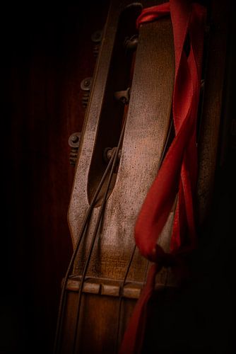 Still life guitar with ribbon