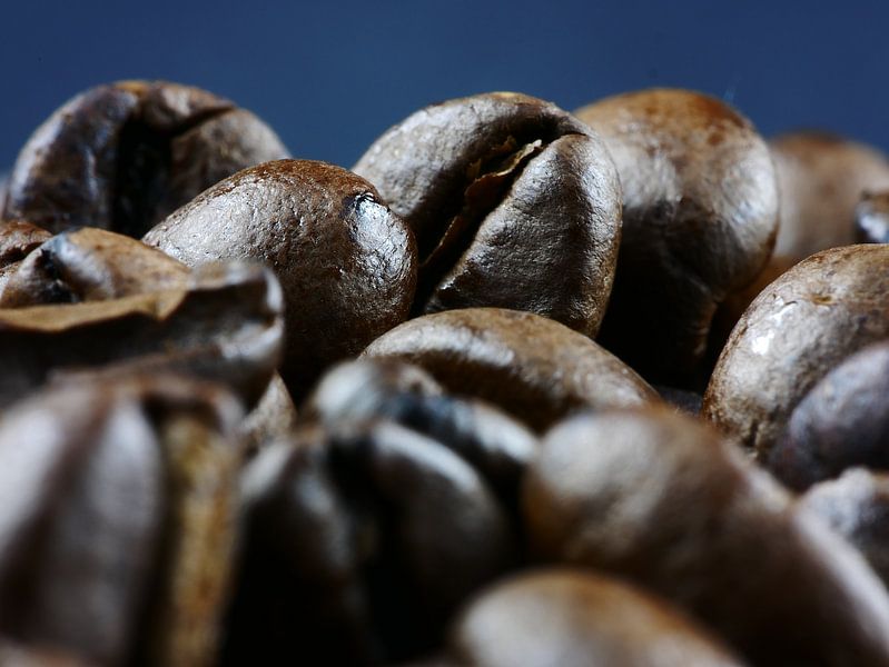 Coffee beans by Rosa Fotoart