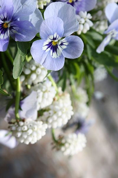 combi by de buurtfotograaf Leontien