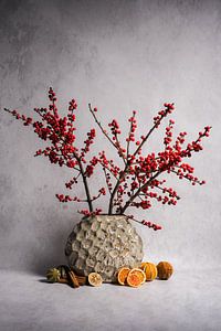 Modern stilleven met rode bessen en gedroogd fruit