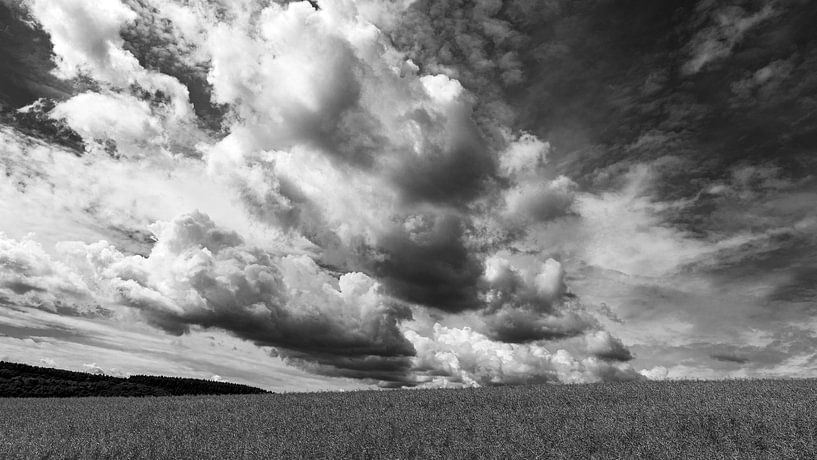 Feld vor dramatischem Himmel im Soonwald von Flatfield
