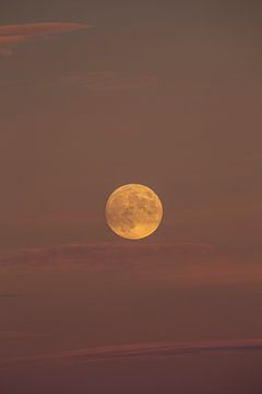 Volle maan in de mooiste kleuren van het Engadin, genomen op de Flüela-pas in november.