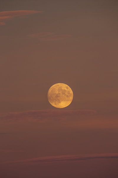 Volle maan in de mooiste kleuren van het Engadin, genomen op de Flüela-pas in november. van Martin Steiner