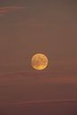 Volle maan in de mooiste kleuren van het Engadin, genomen op de Flüela-pas in november. van Martin Steiner thumbnail