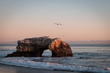 Natural Bridges State Beach - Santa Cruz van swc07