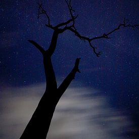 Night Sky by joas wilzing