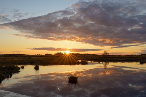 Silence in the High Fens - Beautiful Ardennes by Rolf Schnepp