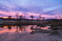 Red creek at sunrise