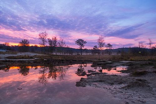 Rode beek bij zonsopkomst