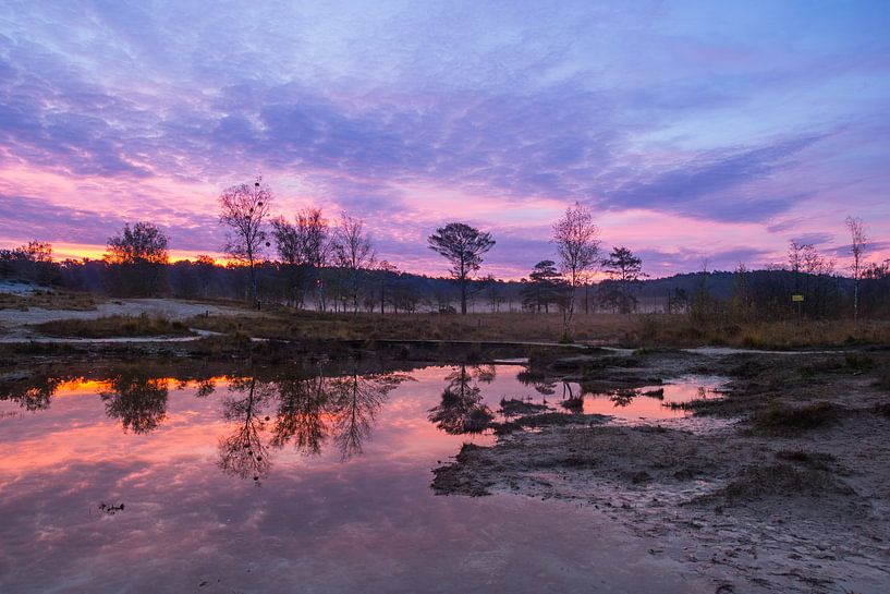 Red creek bei Sonnenaufgang von Francois Debets