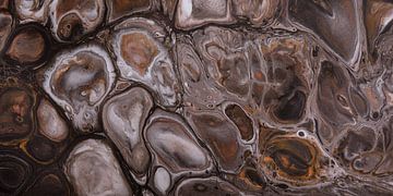 Panorama van vloeibare bruin tinten van Marjolijn van den Berg