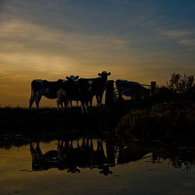 Vaches au coucher du soleil sur Niek van Vliet