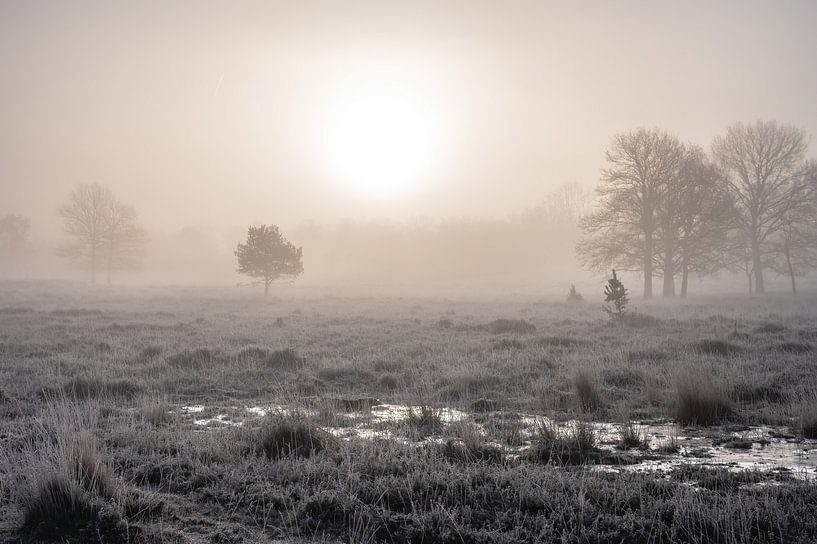 Leersumse veld part 8 van Tania Perneel