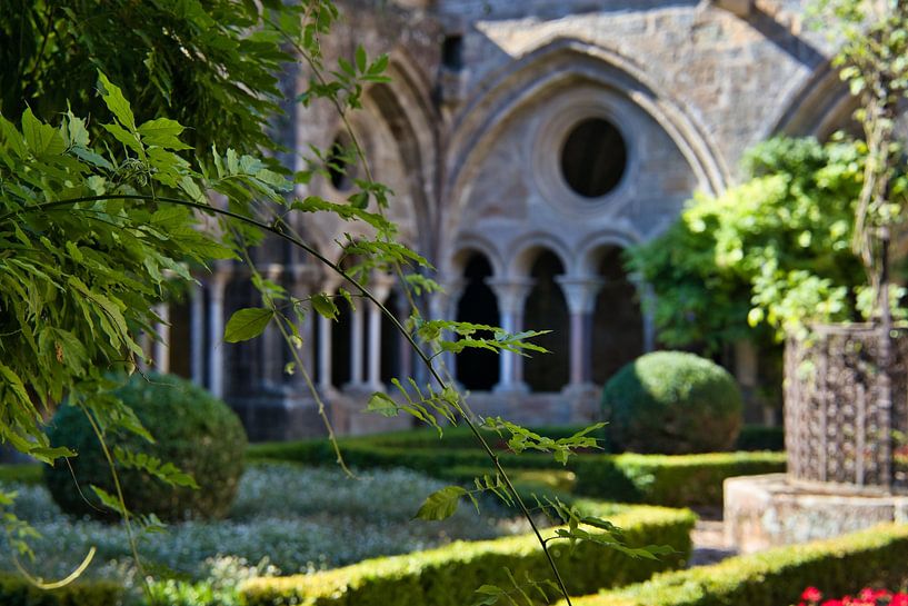 A cloister of life and light by Skyfall