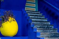 Majorelle garden Marrakech by Richard van der Woude thumbnail