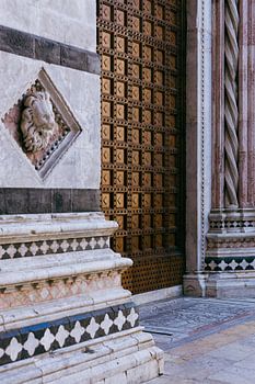 Sienna Italie Kathedraal Santa Maria deur