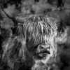 Scottish highlander in black and white by Digitale Schilderijen