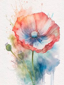 Mohn in Pastellfarben
