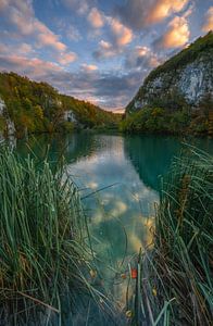 Eine Ebene aus reinem Wasser von Loris Photography