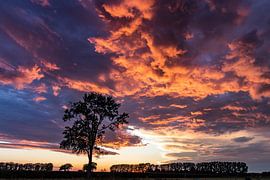 Sun without Holten(OV) rain shower by Frank Slaghuis