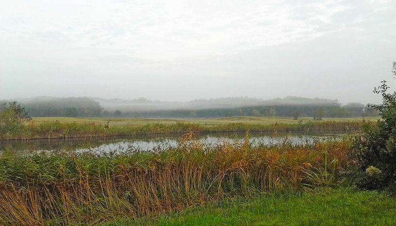 Mist by Rinke Velds